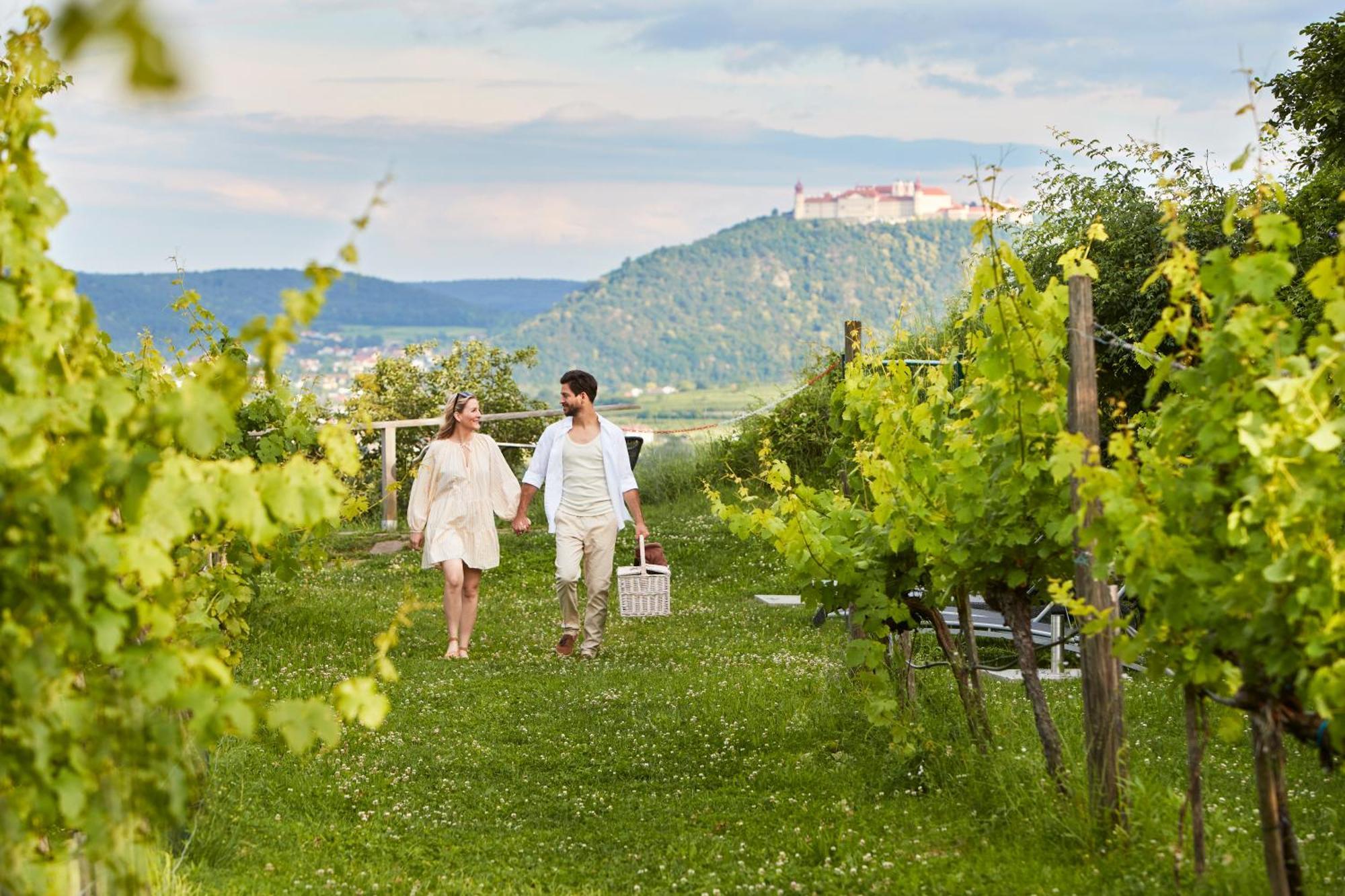 Steigenberger Hotel & Spa Krems Εξωτερικό φωτογραφία